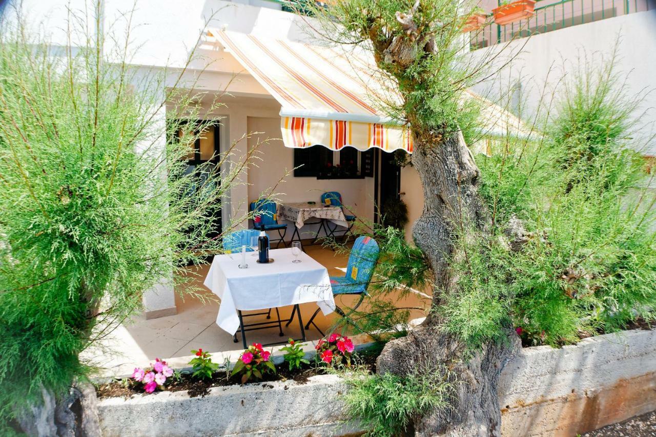 Studio Apartman Papic Drasnice Exterior photo